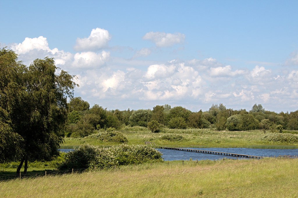 dintelse gorzen natuurgebied natuur natuurmonumenten schotse hooglanders brabant de heen landschap hdr